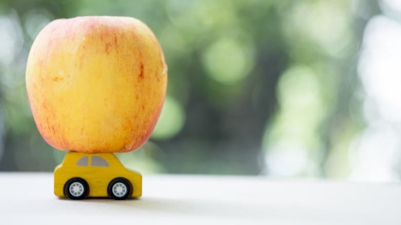 apple car toy miniature fruit