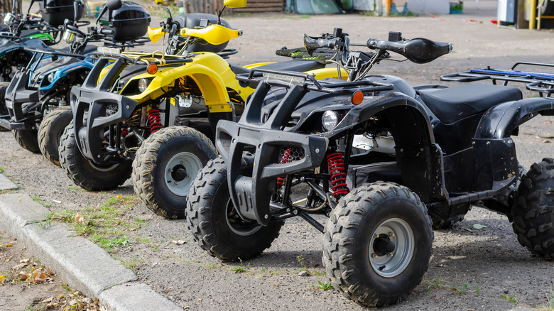 Group of ATVs parked in a straight line