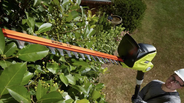 Everything You Need To Know About Ryobi Pole Hedge Trimmers Before You Buy