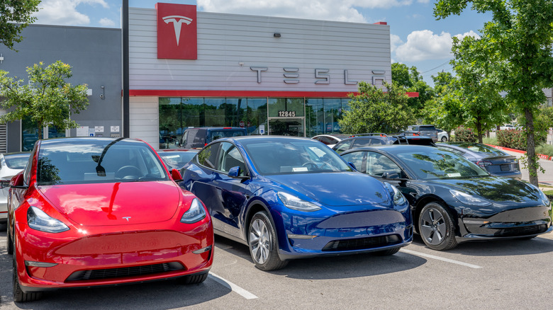 New Tesla EVs