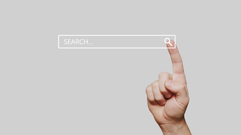 Basic web browser search option