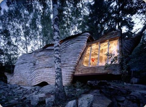 24H architecture forest house