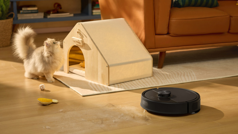 Roborock vacuum next to a cat