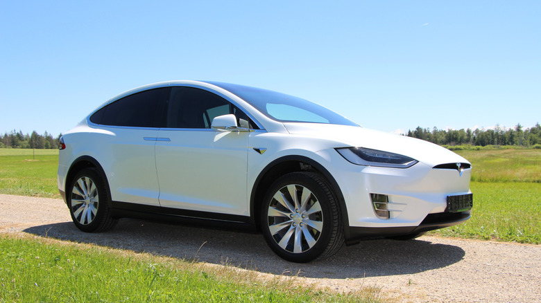 2019 Tesla Model X