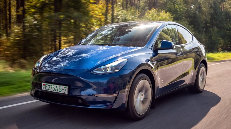 Tesla Model Y Blue