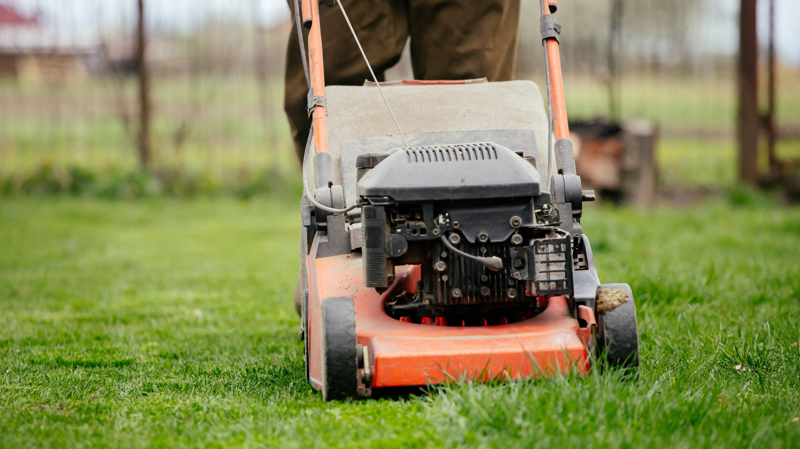 Experts Say This Is The Best Time Of Day To Cut Grass With Your Lawn Mower