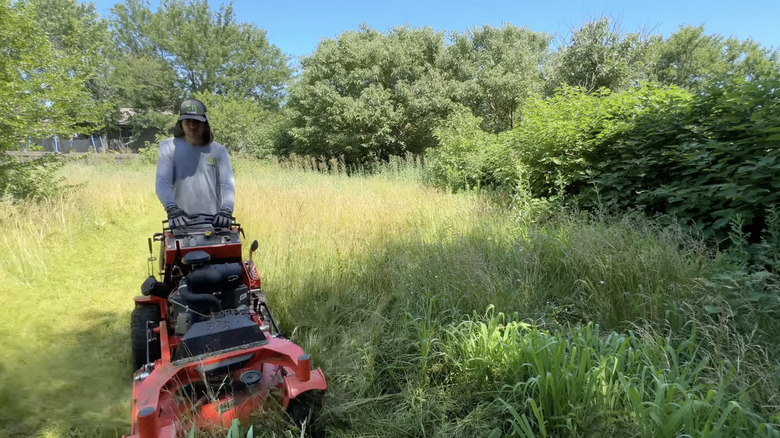 A professional mows down an overgrown lawn