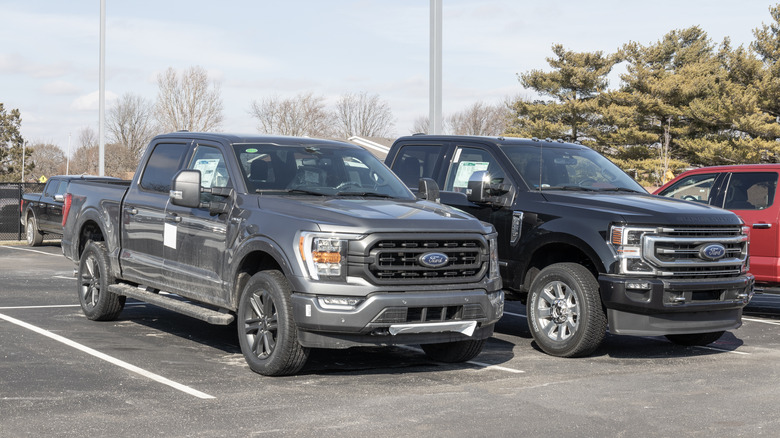 F-150 and F-250