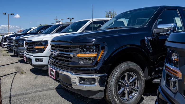 Used Ford F-150s parked on a dealership lot