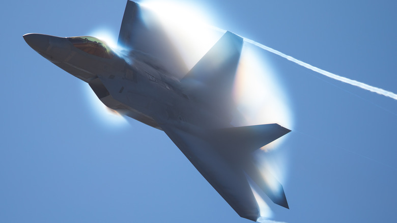 F-22 Raptor