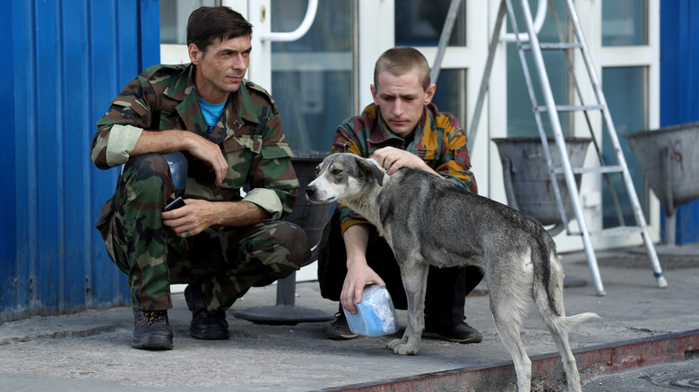 Staff kneel to pet a dog in Chernobyl.