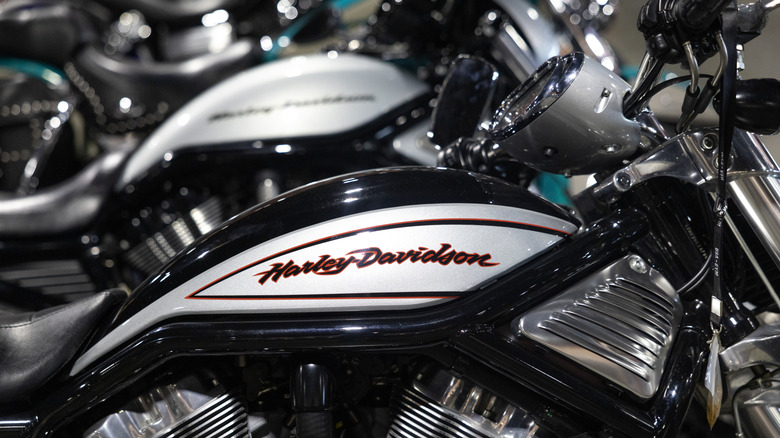 Harley Davidson fuel tank detail
