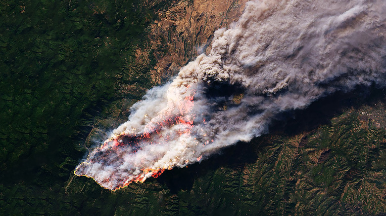 Enhanced satellite image of a large wildfire burning forestry