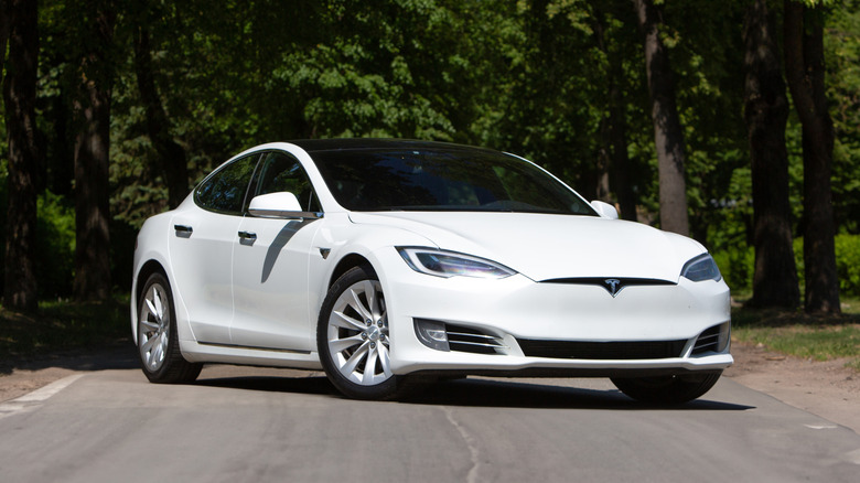 A white Tesla Model S parked in the middle of a rural road.