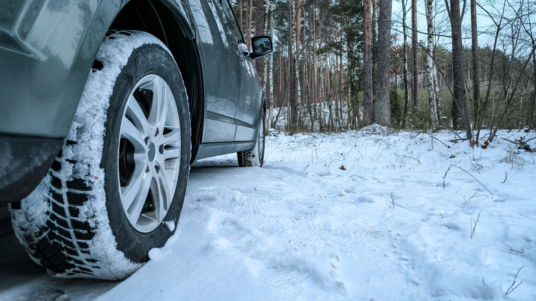 A close-up of a winter tire on a gray vehicle parked in the snow near a treeline.
