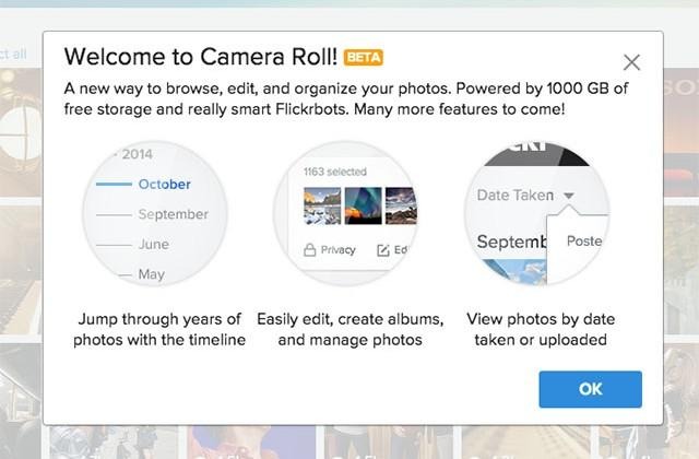 Flickr debuts Camera Roll: a new, organized interface