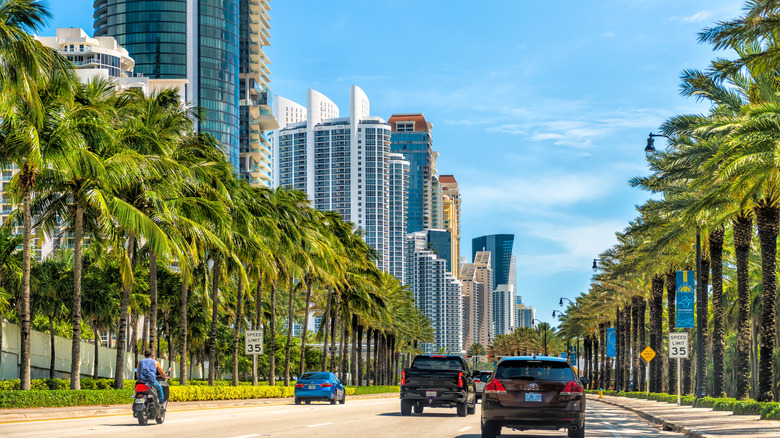Various vehicles driving through Florida.
