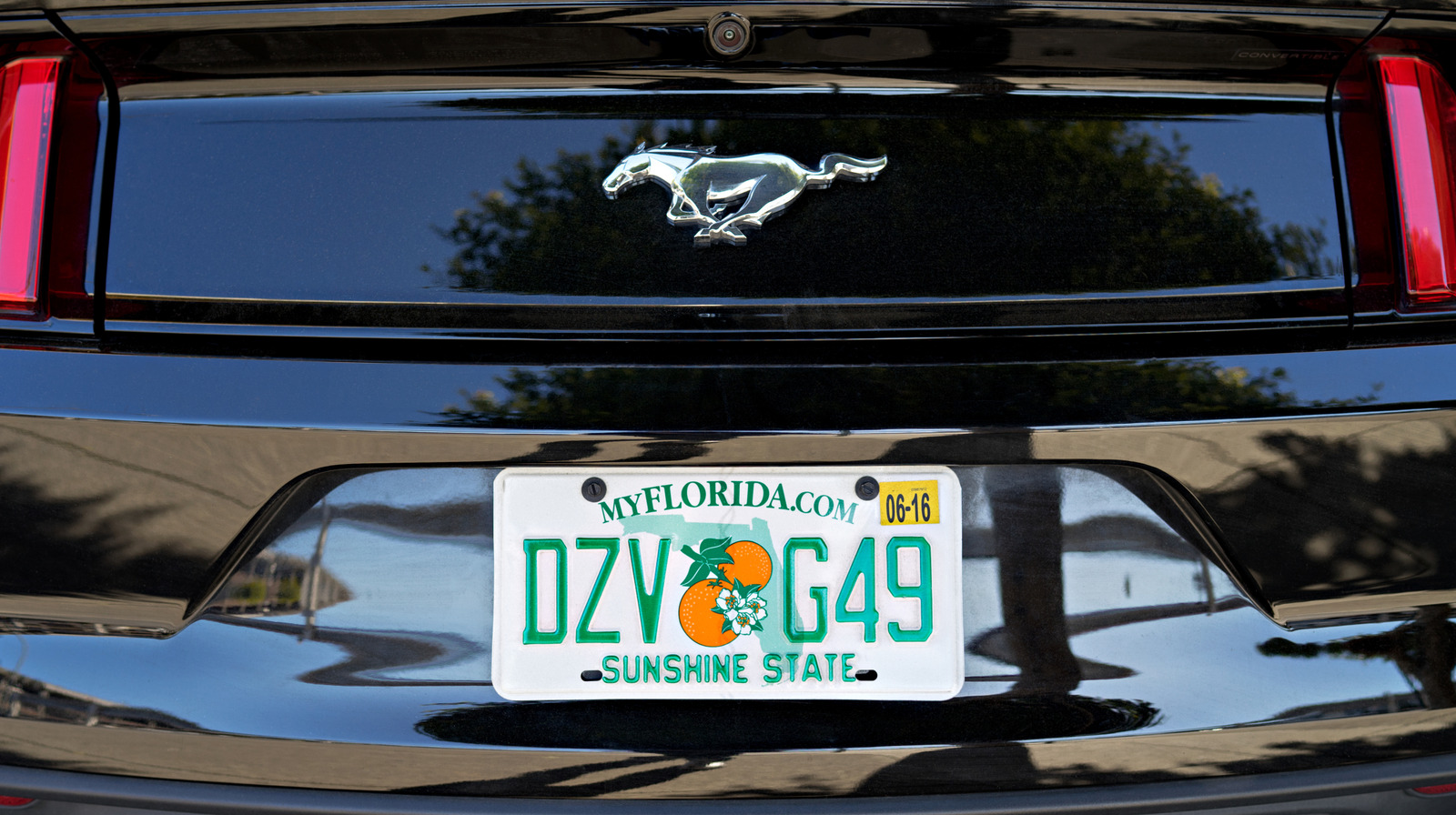 Florida DMV Finally Clarify Confusing License Plate Frame Law