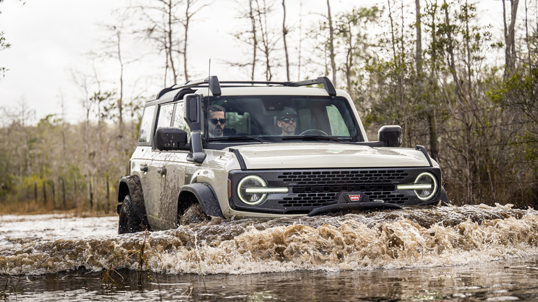 Ford Bronco Everglades