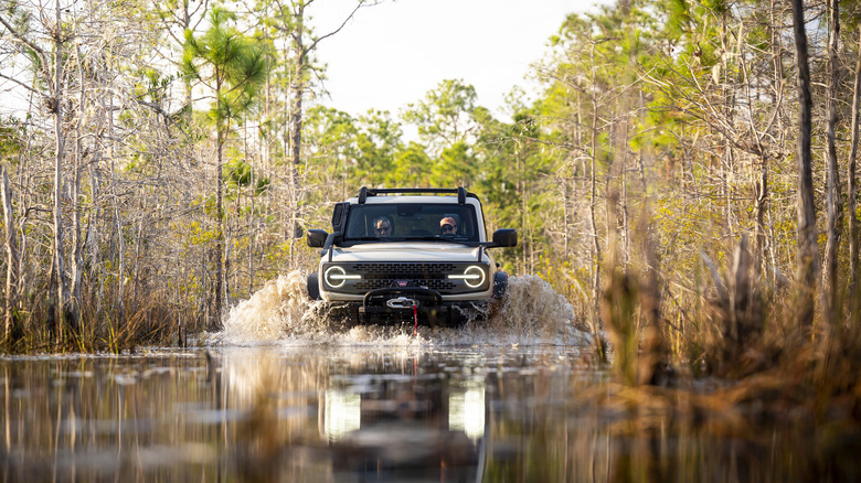 Ford Bronco Everglades