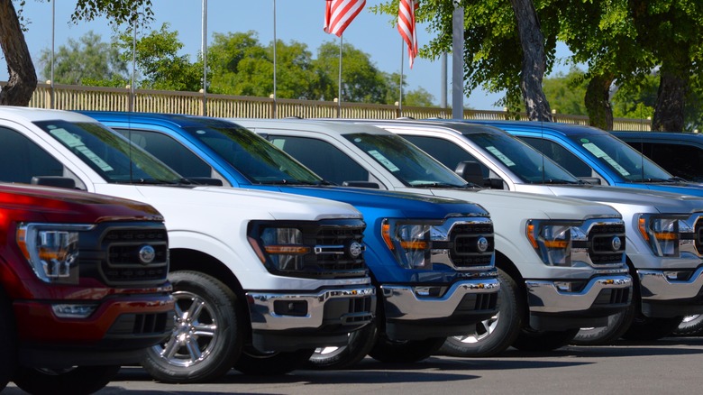 A row of 2024 Ford F-150 trucks