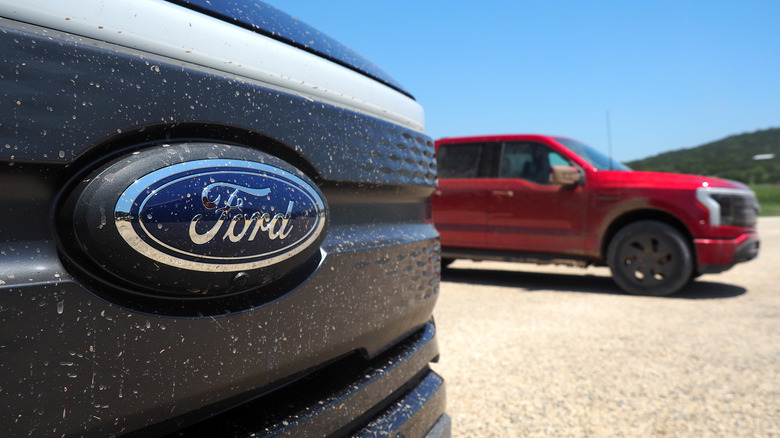 f-150 lightning badge