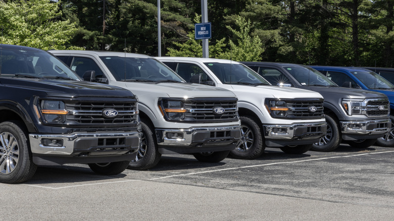 Multiple Ford cars lined up at a dealership