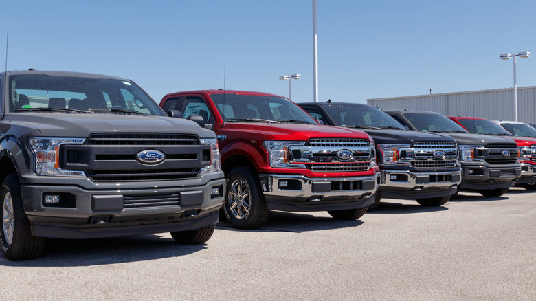 A row of 2018 Ford F-150 models in various colors, sunny day