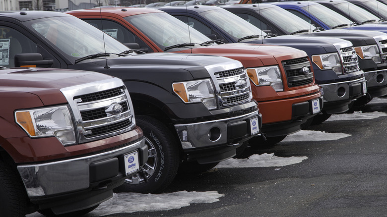 A row of 2014 Ford F-150s in various colors, leftover snow on the ground