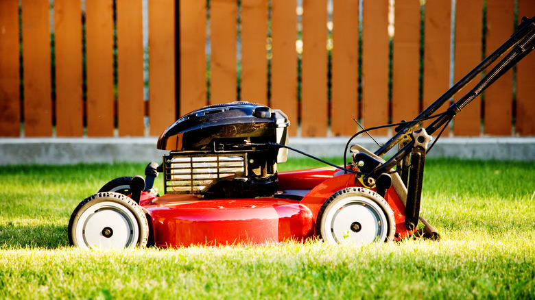 Red lawn mower in yard