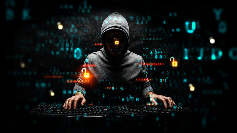 Hacker in a hoodie