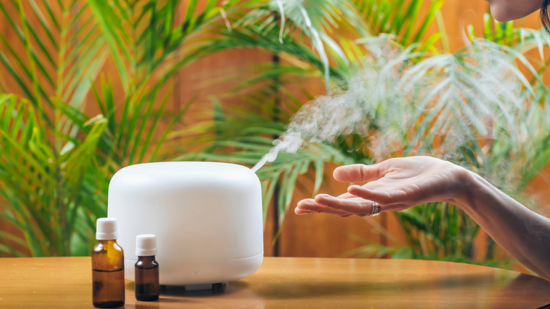 Essential oil diffuser