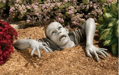 Garden Zombie