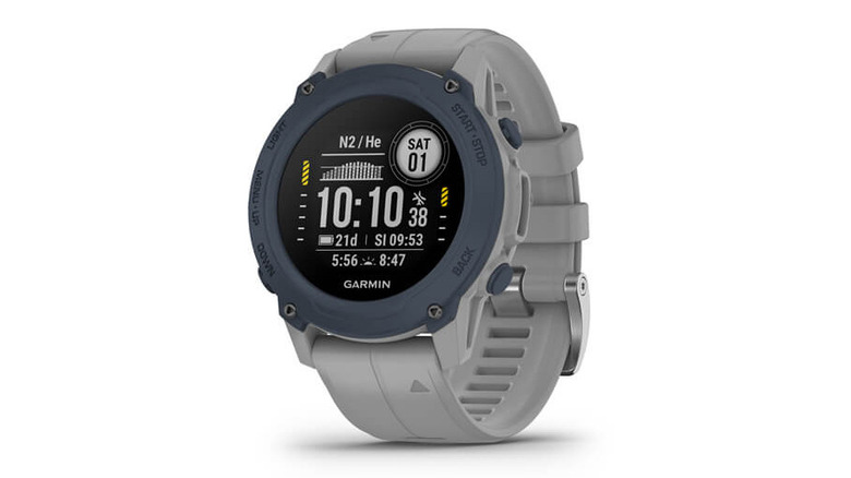 Garmin Descent G1