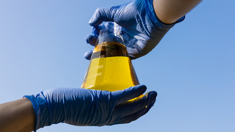 Close-up of two hands wearing blue gloves and holding a vial of gasoline