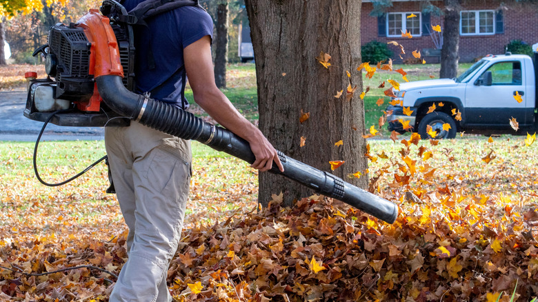 A person using a leaf blower in their yard to blow away fallen leaves