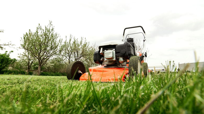 Low shot of orange lawn mower sitting in grass