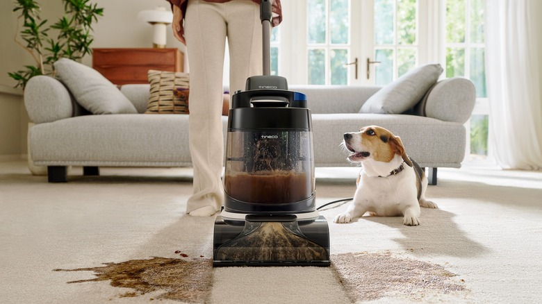 Tineco CARPET ONE Cruiser cleaning a carpet