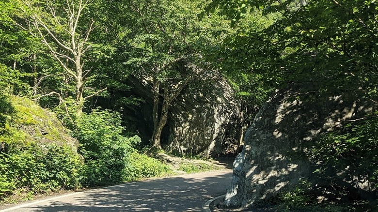 A narrow stretch of Smuggler's Notch.