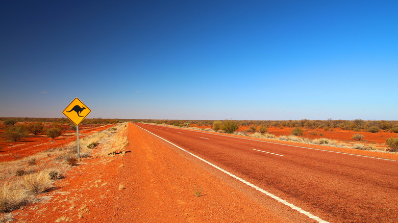 An road in the outback with a sign warning of kangaroos