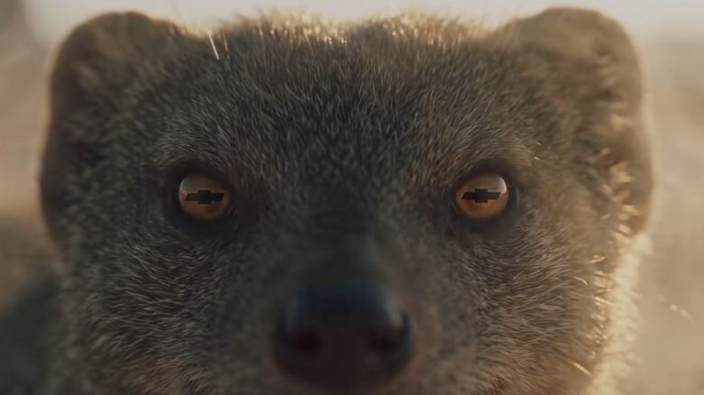 Screenshot of a mongoose with Chevy logos on its pupils