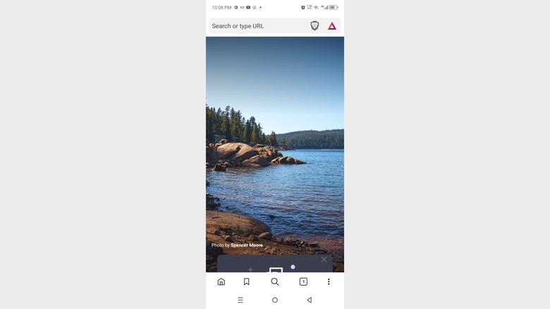 Brave homepage