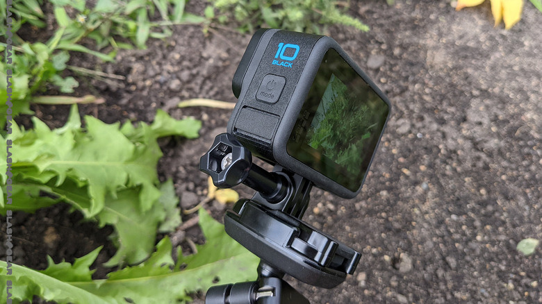 GoPro Hero10 Black Review - Camera Jabber