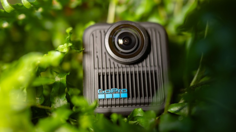 The GoPro Max 2 nestled in a fern.