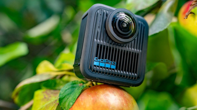 The GoPro Max 2 resting on top of an apple on a tree.