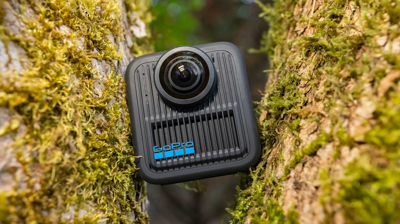 The GoPro Max 2 wedged in the fork between two moss covered branches of a tree.