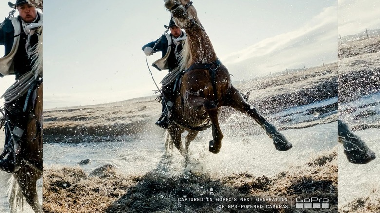 A horse and rider crossing a stream.