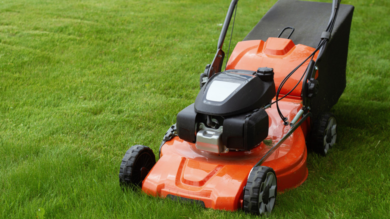 Close up of a lawn mower on a stretch of mown lawn.