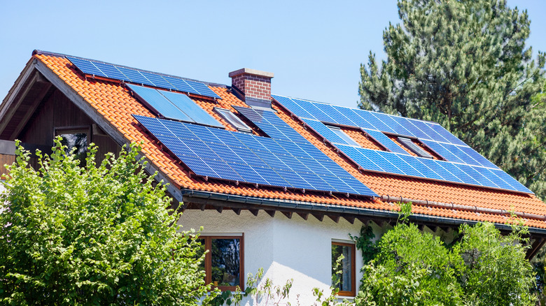 Solar panels on a roof of a home with greenery around