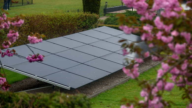Ground-mounted solar panels in a garden